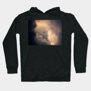 Into the unknown Hoodie